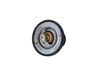 Termostat, chladivo 725174