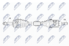 NPW-NS-072_9-WM.PNG