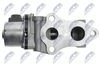 EGR-TY-001_4-WM.JPG