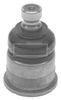 BBJ5202_206670.JPG