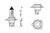 1987302092DRFRWHCO00MM.JPG