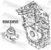 FDM-EXPVF_1.JPG