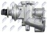 EGR-PL-026_4-WM.JPG