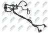 BPP-CT-012_2-WM.JPG