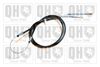 QH_BC3774.JPG