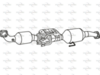 P8443CAT_1.PNG
