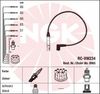 0965-RC-VW234.BMP