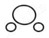 ORING3_1.JPG