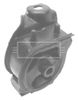 BEM3575_210420.JPG