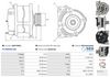 A0917(SEG)_256960.JPG