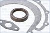 Dichtungsvollsatz, Motor