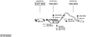 SYS16302.JPG