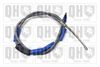 QH_BC2014.JPG