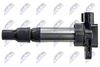 ECZ-SU-011_3-WM.JPG