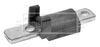 BSK7003_211920.JPG