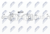 NPW-TY-077_9-WM.PNG