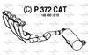 P372CAT.JPG