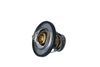 Termostat, chladivo 725174