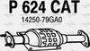 P624CAT.JPG