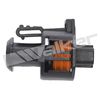 250-24648_4.JPG