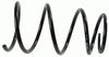 0032998765.JPG