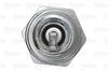 VALEO_SPARK_PLUG_246896_03.JPG