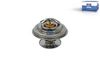 Termostat, chladivo 3.15002