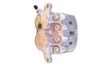 APEC Brake Caliper RCA191N