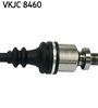 VKJC 8460_3.JPG