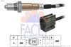 10.8562-FA.JPG