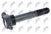 ECZ-MS-019_2-WM.JPG