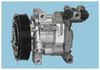 CMP2052060_1.JPG