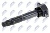ECZ-MS-016_2-WM.JPG