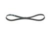 Bosch V-Ribbed Belt 1 987 946 142 (1987946142)