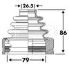 BCB6110_292153.JPG