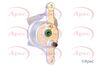 APEC Brake Caliper RCA522