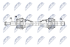 NPW-CH-157_9-WM.PNG