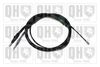 QH_BC3970.JPG