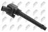 ECZ-AR-010_2-WM.JPG