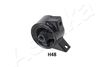 GOM-H48_1.JPG