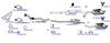 OP-EXSVG169_20260529081726.JPG