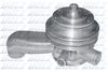 B117.BMP