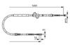 1987477687LIFRWHCO00MM.JPG