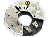 55955.JPG