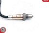 SKV_09SKV646_WM_03.JPG