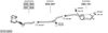 SYS14263.JPG