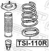 TSI-110R_1.JPG