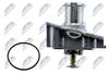 CTM-FT-005_5-WM.JPG