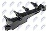 ECZ-PE-009_2-WM.JPG