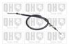 QH_BC3950.JPG